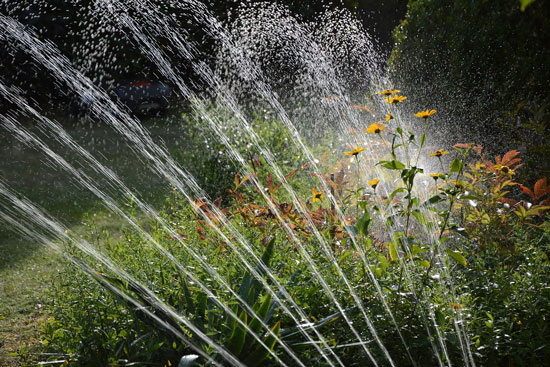 Regenwasser Gartenbewässerung